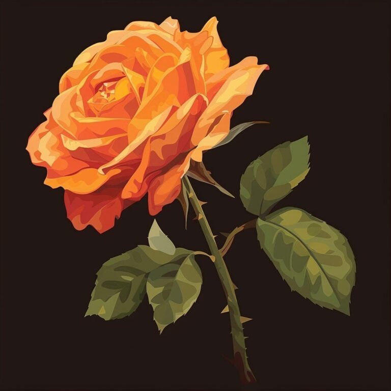 What Do Orange Roses Symbolize?
