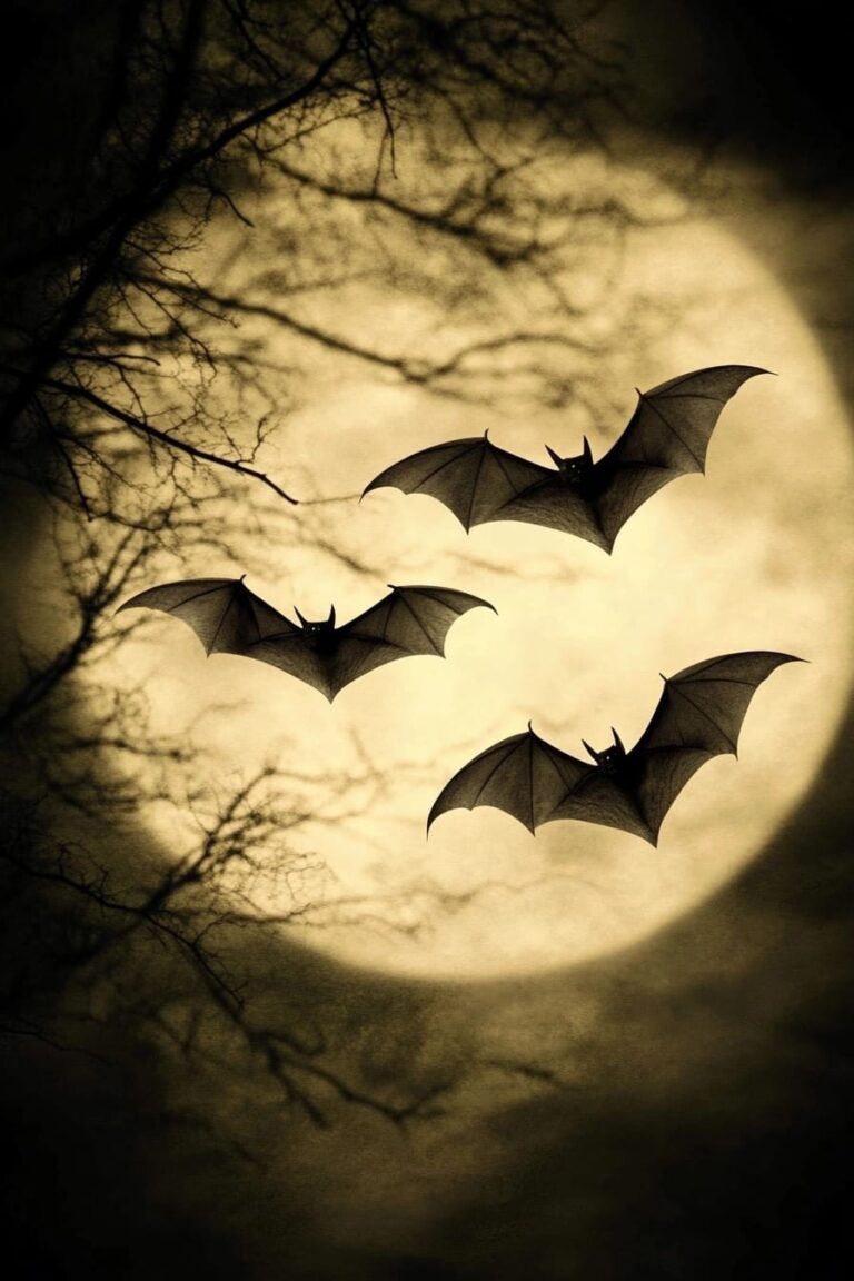 Why Are Bats Spooky?