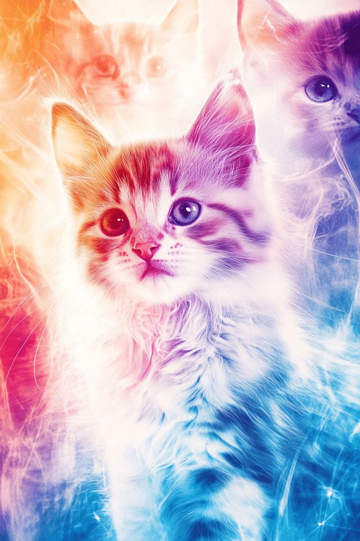 The Meaning of Kittens in Dreams