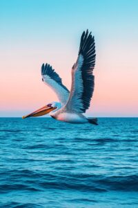 10 Amazing Facts About Pelicans | Sarai Chinwag