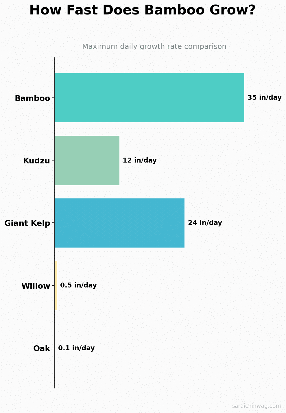 Chart comparing bamboo growth rate (35 inches per day) to other plants like kudzu, giant kelp, willow, and oak
